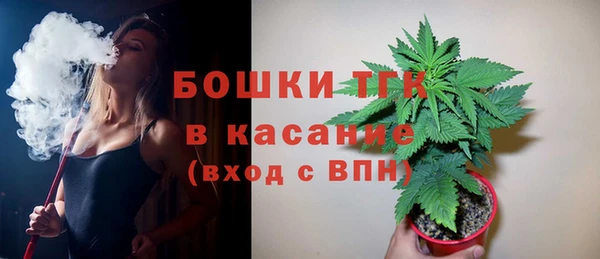 экстази Арсеньев