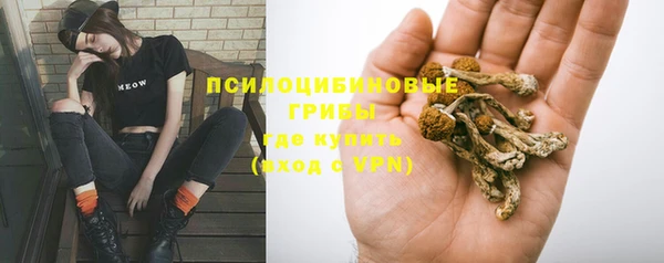 экстази Арсеньев