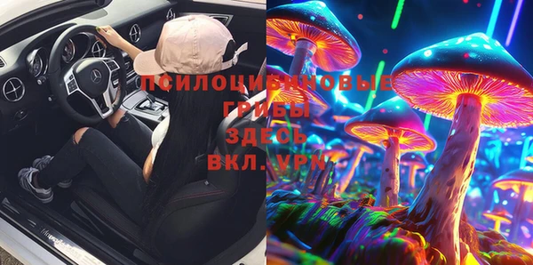 дмт Армянск