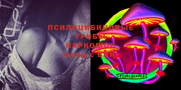 дмт Армянск